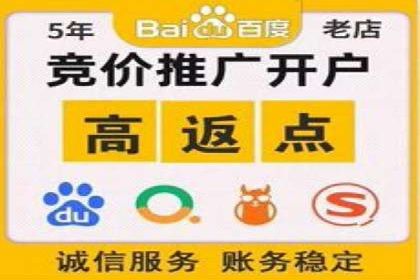 成功案例揭秘：百度竞价代运营如何助力企业腾飞